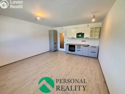 Rent apartment 1+KK Chlumec nad Cidlinou, Rooseveltova č. 5