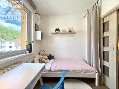 Sale apartment 5+1 Hluboká nad Vltavou, Nerudova 827 č. 13