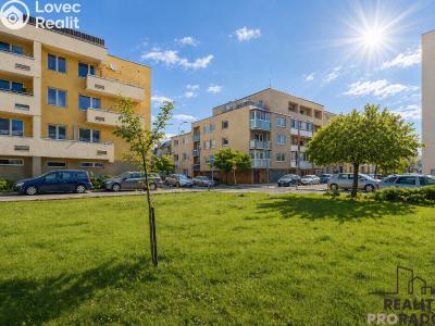 Продажа квартиры 3+KK Pardubice, Bacháčkova č. 1