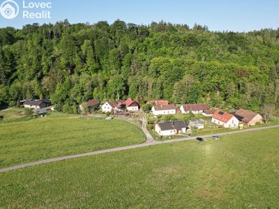 Sale family house Luže č. 48