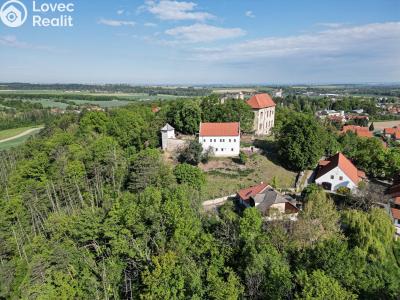 Sale family house Luže č. 55