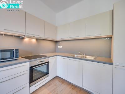 Pronájem bytu 3+KK Olomouc, Rooseveltova č. 4