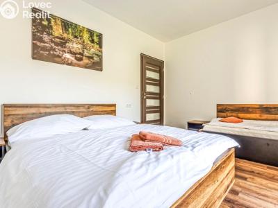 Sale apartment 2+KK Červená Voda č. 14