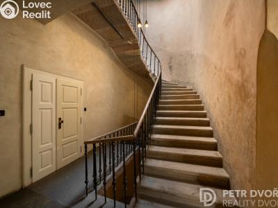 Sale apartment 3+KK Praha, Haštalská č. 18