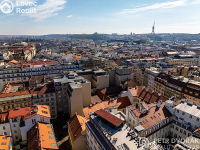 Sale apartment 3+KK Praha, Haštalská č. 25