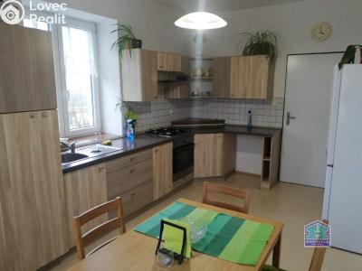Pronájem bytu 2+1 Stříbro, Alešova 720 č. 1