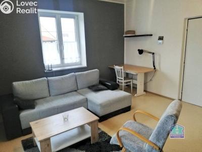 Pronájem bytu 2+1 Stříbro, Alešova 720 č. 4