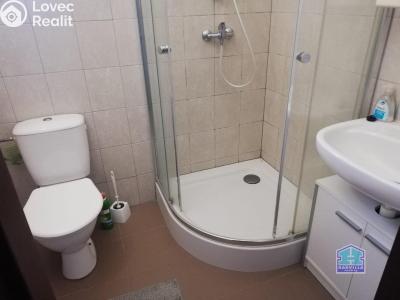 Pronájem bytu 2+1 Stříbro, Alešova 720 č. 7