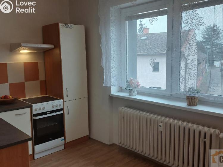 Pronájem bytu 1+1 Olomouc, Jilemnického 17/37 č. 4