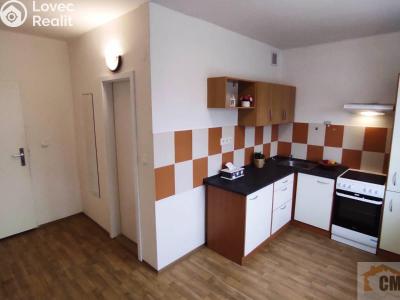 Pronájem bytu 1+1 Olomouc, Jilemnického č. 6