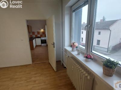 Pronájem bytu 1+1 Olomouc, Jilemnického č. 10
