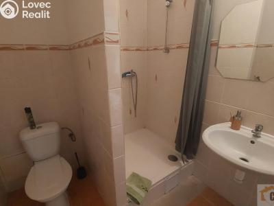 Pronájem bytu 1+1 Olomouc, Jilemnického č. 11