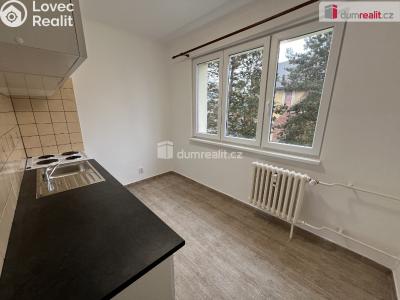 Pronájem bytu 1+1 Lužec nad Vltavou, Jiráskova č. 7