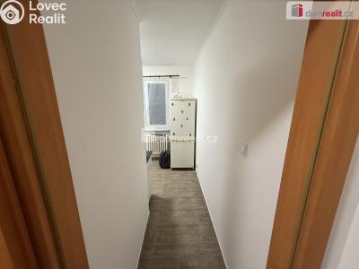 Pronájem bytu 1+1 Lužec nad Vltavou, Jiráskova č. 8