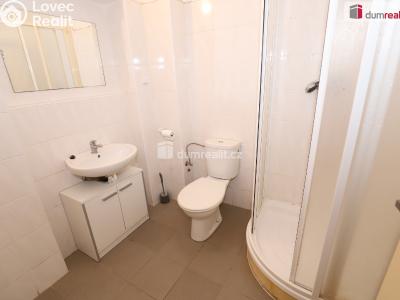 Аренда квартиры 1+KK Karlovy Vary č. 9