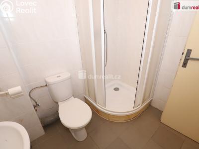 Аренда квартиры 1+KK Karlovy Vary č. 10