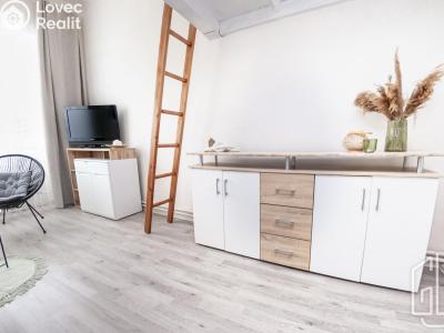 Pronájem bytu 1+1 Brno, Rumiště č. 8