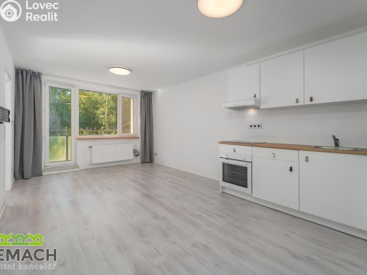 Аренда квартиры 4+KK Uherské Hradiště, Zahradní 1012 č. 3