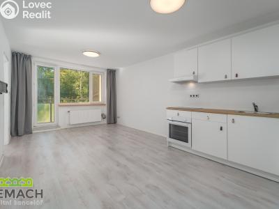 Аренда квартиры 4+KK Uherské Hradiště, Zahradní 1012 č. 3