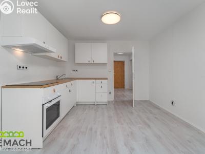 Аренда квартиры 4+KK Uherské Hradiště, Zahradní 1012 č. 11