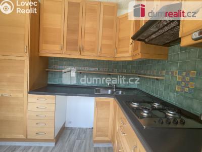 Аренда квартиры 4+1 Ústí nad Labem, Ve Smyčce č. 24