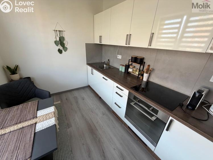 Sale apartment 2+1 Most, Jaroslava Vrchlického 2817/11 č. 4