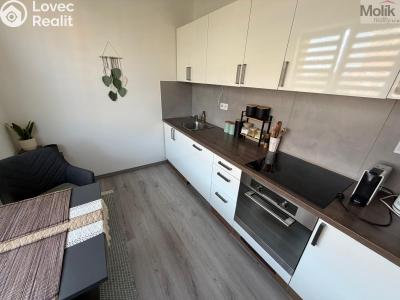 Sale apartment 2+1 Most, Jaroslava Vrchlického č. 4