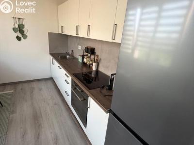 Sale apartment 2+1 Most, Jaroslava Vrchlického č. 5