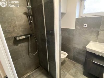 Rent apartment 2+KK Velký Týnec, Zábraní č. 6