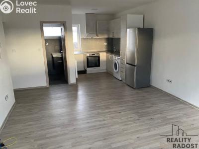 Rent apartment 2+KK Velký Týnec, Zábraní č. 10