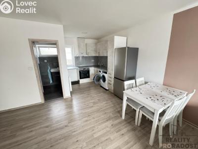 Rent apartment 2+KK Velký Týnec, Zábraní č. 11