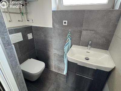 Rent apartment 2+KK Velký Týnec, Zábraní č. 13