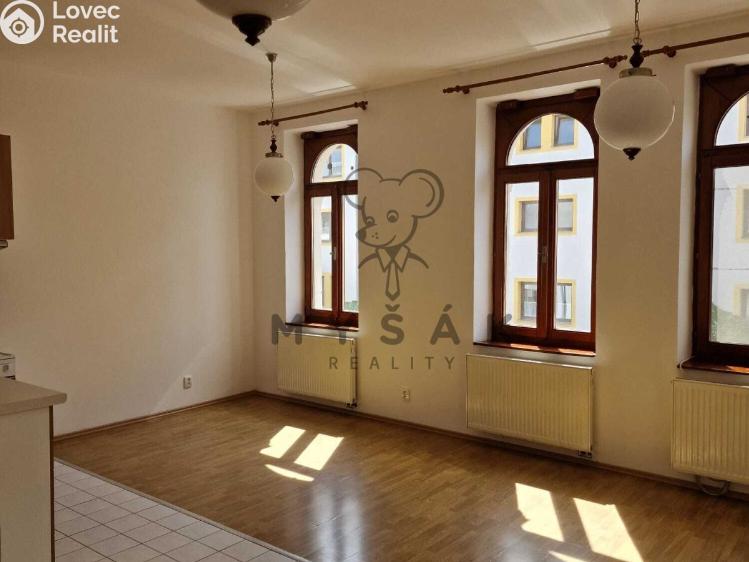 Rent apartment 2+KK České Budějovice, Holečkova č. 1