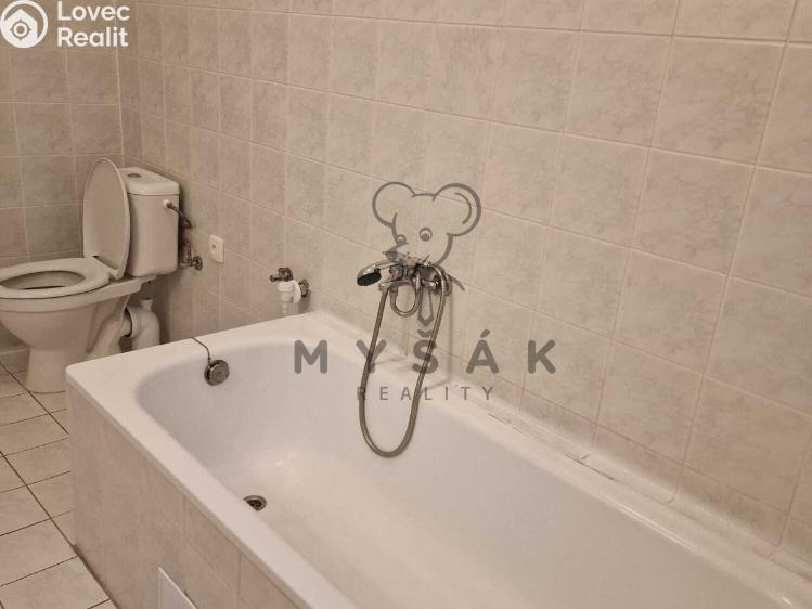Rent apartment 2+KK České Budějovice, Holečkova č. 5