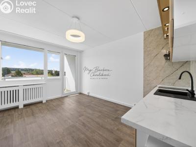 Prodej bytu 1+KK Horní Bříza č. 6