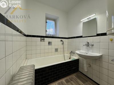 Оренда сімейного будинку Týn nad Vltavou, Dewetterova 6 č. 12
