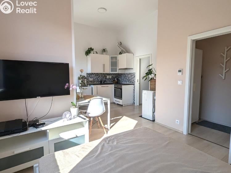Pronájem bytu 1+KK Olomouc, Wolkerova 1210/27 č. 5