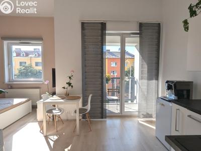 Pronájem bytu 1+KK Olomouc, Wolkerova č. 1