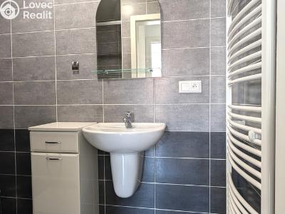 Pronájem bytu 1+KK Olomouc, Wolkerova č. 4