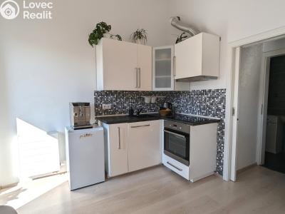 Pronájem bytu 1+KK Olomouc, Wolkerova č. 6