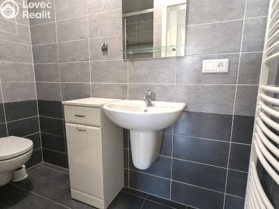 Pronájem bytu 1+KK Olomouc, Wolkerova č. 3