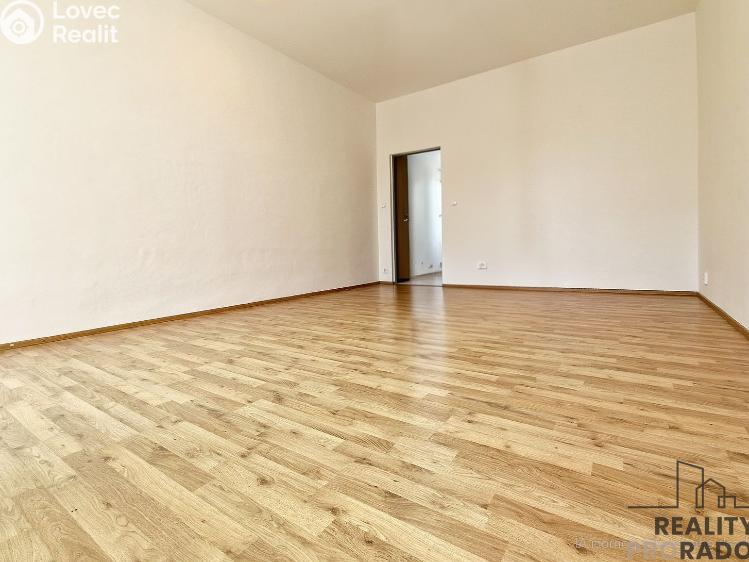 Pronájem bytu 1+1 Brno, Vlhká č. 4