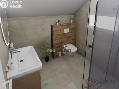 Sale project Dolní Bojanovice č. 5