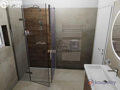 Sale project Dolní Bojanovice č. 8