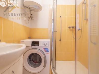 Prodej bytu 3+1 Ševětín, Krátká 252 č. 3