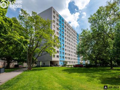 Prodej bytu 2+1 Pardubice, Gagarinova 386 č. 1