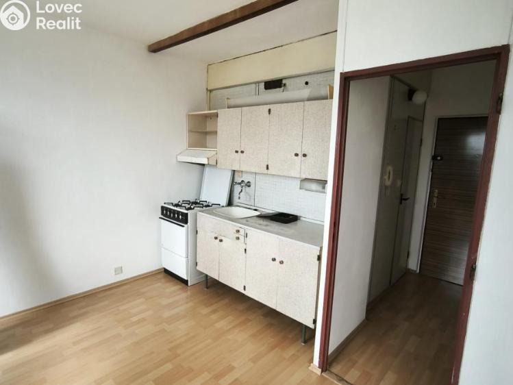 Pronájem bytu 1+1 Chomutov, Jirkovská 5022 č. 1