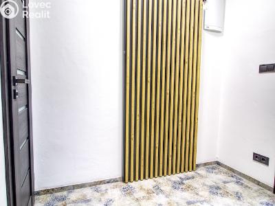 Pronájem bytu 2+KK Hradec Králové, třída SNP č. 4