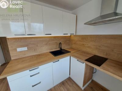 Оренда квартири 1+1 Ostrava, Jičínská č. 24