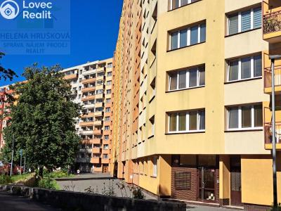 Оренда квартири 1+1 Ostrava, Jičínská č. 20
